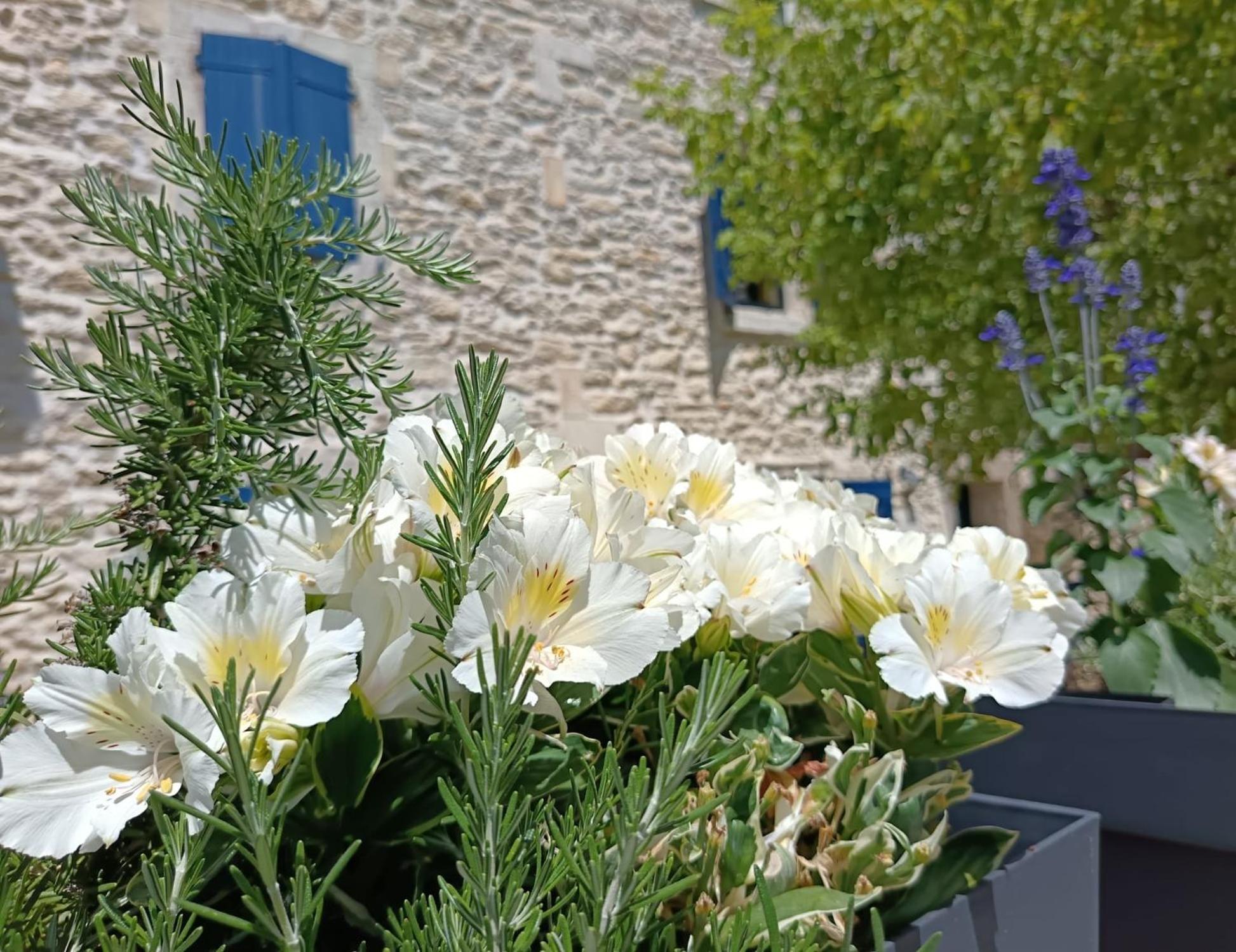 Namaste Home Saint-Rémy-de-Provence Exterior foto